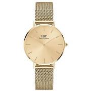 Horloge Daniel Wellington DW00100473
