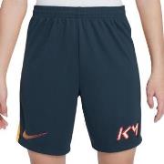 Korte Broek Nike -