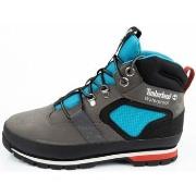 Hoge Sneakers Timberland TB0A2HTS033
