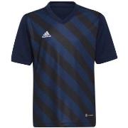 T-shirt Korte Mouw adidas Entrada 22 Graphic Jersey