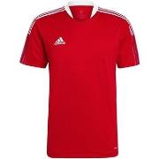 T-shirt Korte Mouw adidas Tiro 21