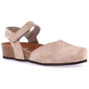 Klompen Grunland DSG-SB2412