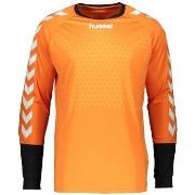 T-Shirt Lange Mouw hummel Maillot Essential GK Jersey