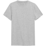 T-shirt Korte Mouw 4F TSM352