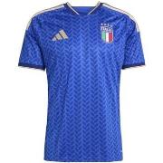 Polo Shirt Korte Mouw adidas Figc H Jsy
