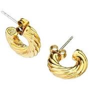 Oorbellen Chiara Ferragni j19axp12