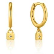 Oorbellen Ania Haie e03201g