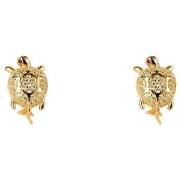 Oorbellen LANCASTER jlaearturtle6