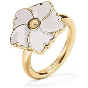 Parure Folli Follie 3r19t009yw54