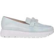 Ballerina's Wonders Iris