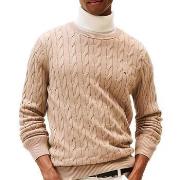 Trui Tommy Hilfiger -