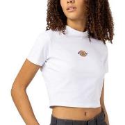 T-shirt Korte Mouw Dickies MAPLE VALLEY REG TEE