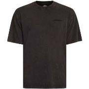 T-shirt Korte Mouw Dickies Plentywood T-shirt