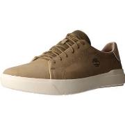 Lage Sneakers Timberland TB0A5TY5DR01