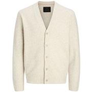 Vest Jack &amp; Jones 12289068 BLASIMON-SILVER LINING