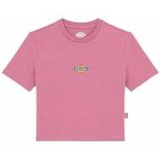 T-shirt Korte Mouw Dickies MAPLE VALLEY DK0A4XPO-J541 MAUVE