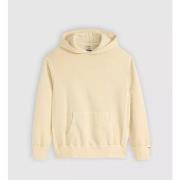 Sweater Levis A0835 0034 - AUTHENTIC HOODIE-FOG GARMENT