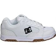 Lage Sneakers DC Shoes 115105