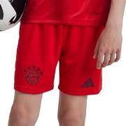 Korte Broek adidas -