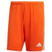 Korte Broek adidas -