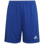Korte Broek adidas Entrada 22