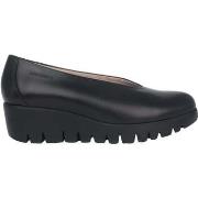 Ballerina's Wonders Fly