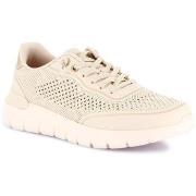 Lage Sneakers Grunland GRU-E26-SC6262-BE
