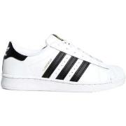 Lage Sneakers adidas FU7714