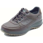 Wandelschoenen Grisport 8691OV Wood