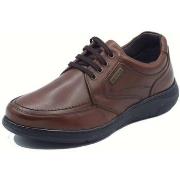 Wandelschoenen Zen 99006