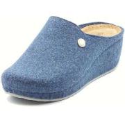 Klompen Grunland RAPY CI1541