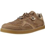 Lage Sneakers Cetti C848