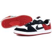 Lage Sneakers Nike SB Alleyoop