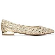 Ballerina's Xti 14529902