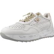 Sneakers Cetti XL V26 NATURE DEPORTIVO