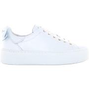 Lage Sneakers NeroGiardini E306521D/707