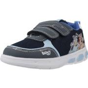 Lage Sneakers Garvalin 262860G