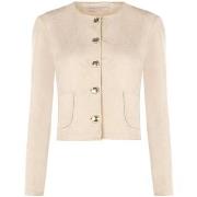 Windjack Rinascimento CFC0129495003