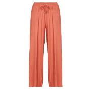 Harembroek Les Petites Bombes DALIDA