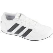 Lage Sneakers adidas adidas Tekwen Lace