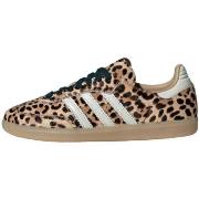 Lage Sneakers adidas Samba OG Leopard Magic Beige