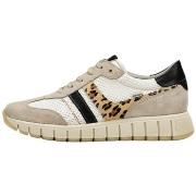 Lage Sneakers Dorking D9633CAKLC