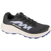 Nette Schoenen Salomon Alphaglide W