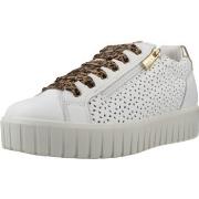 Lage Sneakers IgI&amp;CO 1145700ig Latte