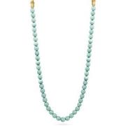 Ketting Police pejln2103903