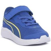 Lage Sneakers Puma 31241509