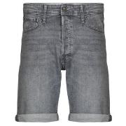 Korte Broek Jack &amp; Jones JJIRICK
