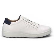 Lage Sneakers Josef Seibel Maddox