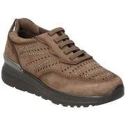 Lage Sneakers Amarpies 114086