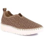 Instappers Grunland DSG-SC6184